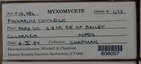 Image Associated With the Occurence